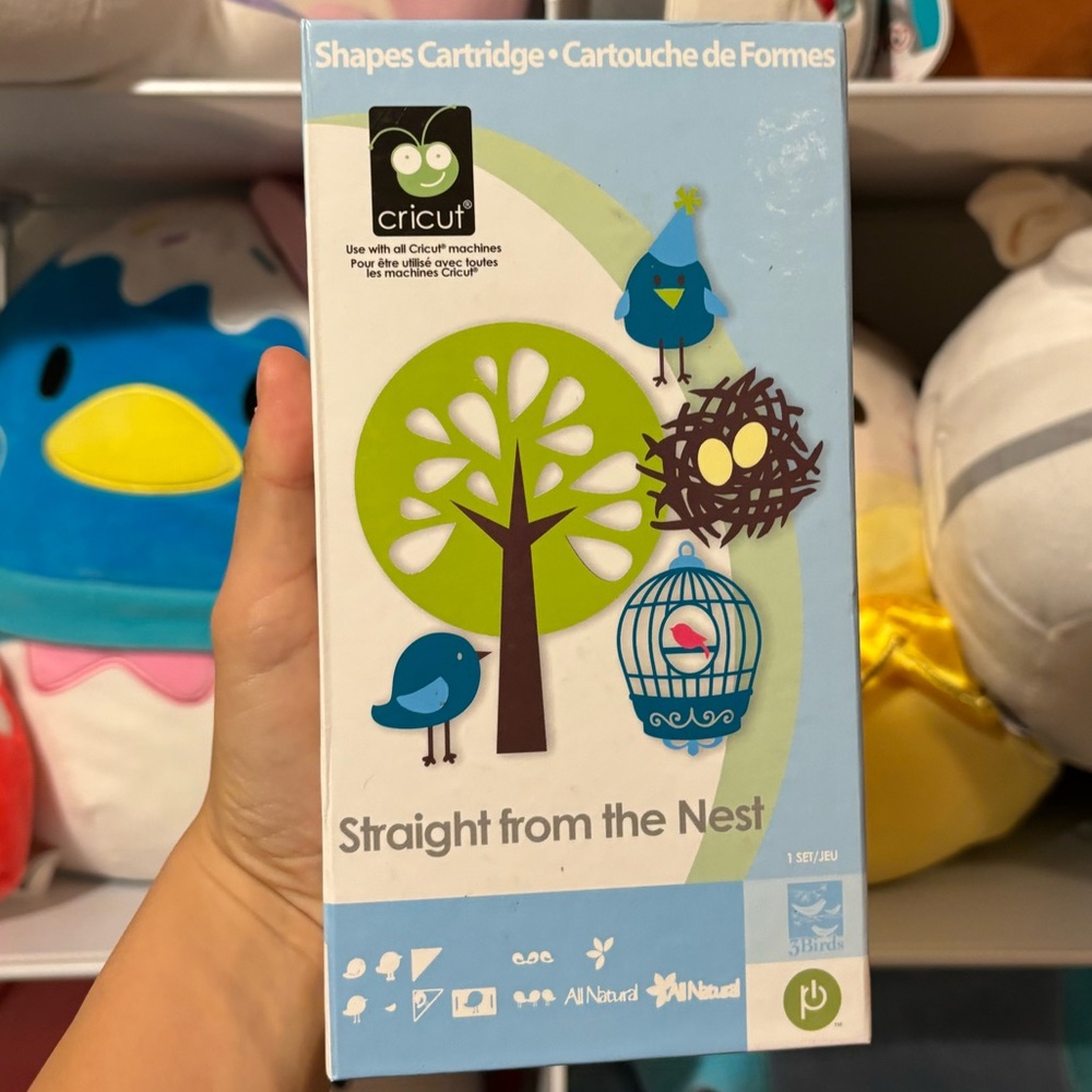 Cricut “Straight from the Nest” 🐥🪺
